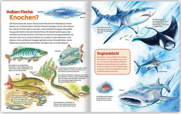 Wieder da! Spendenbuch Alles lebt! Wissen und Rätseln bei McDonalds