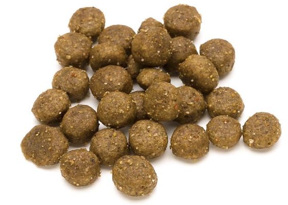 3kg Lifelong   Adult Hundefutter ab 6,87€ (statt 15€)