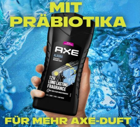 Axe 3 in 1 Duschgel & Shampoo Alaska für 1,90€