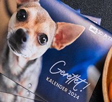 Gratis: Gerettet-Kalender von PETA für 2024