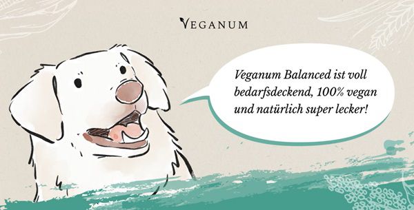 Veganum: Kostenlose vegane Hundefutterprobe anfordern