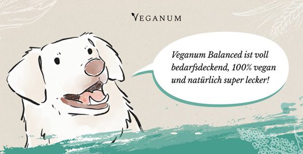 Jetzt verfügbar! Veganum: Kostenlose vegane Hundefutterprobe anfordern
