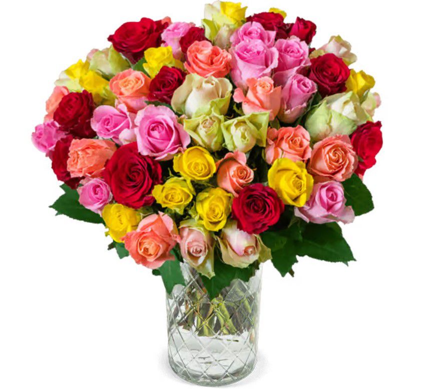 Neujahrsgruß mit 51 bunten Rosen mit 40 50cm Länge für 29,48€