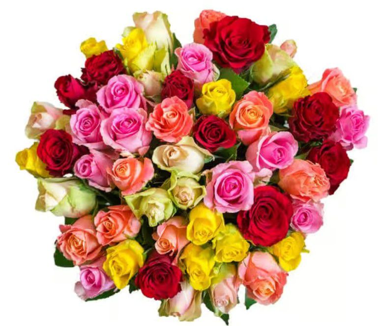 Neujahrsgruß mit 51 bunten Rosen mit 40 50cm Länge für 29,48€