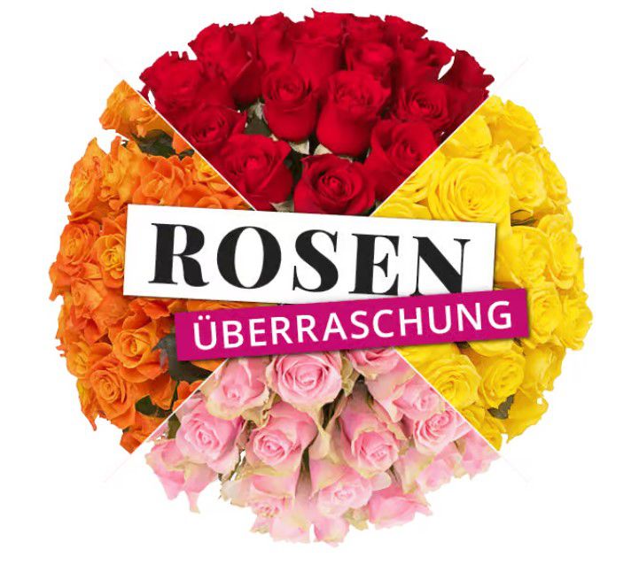 Rosenüberraschung: 50 bunte Rosen bis 50cm für 29,48€