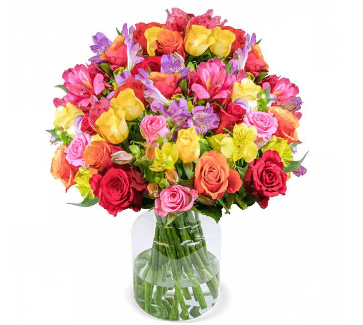 Rosenglück zum Weltfrauentag 30 Stiele bis 100 Blüten für 32,48€