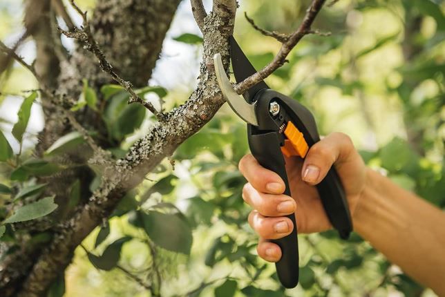 Fiskars Single Step Bypass Gartenschere, 20 cm für 10,79€ (statt 16€)