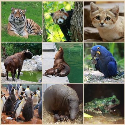 Grüner Zoo Wuppertal: Ab sofort kostenloser Eintritt für Kinder bis einschl. 14 Jahre