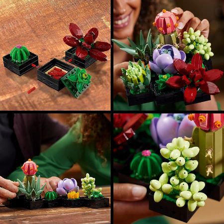 🥀 LEGO 10309 Icons Sukkulenten Blumen Set für 40,99€ (statt 53€)