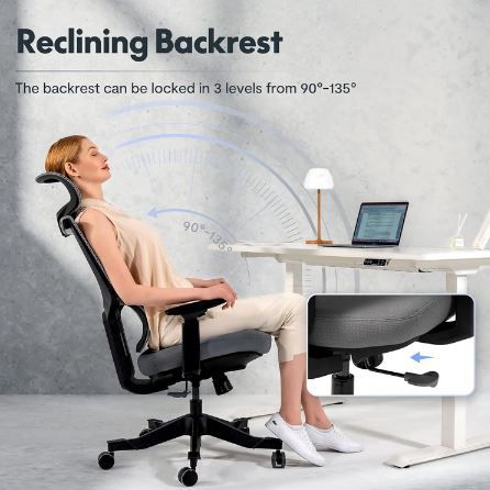 Flexispot BS8 Ergonomischer Bürostuhl mit Lordosenstütze für 124,99€ (statt 230€)