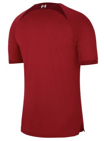 Nike FC Liverpool Heimtrikot 2023 für 33,99€ (statt 50€)