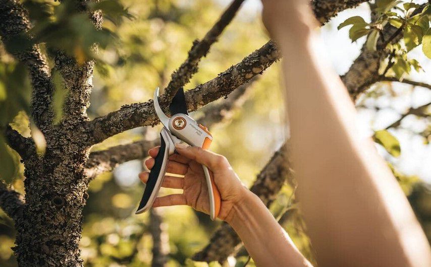 Fiskars P531 Bypass Gartenschere 21cm für 14,99€ (statt 18€)