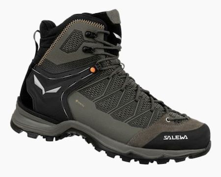 Salewa Mountain Trainer Lite Mid GTX für 99,99€ (statt 113€)