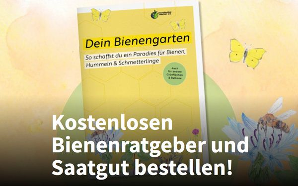 Kostenlos: eBook Bienenratgeber