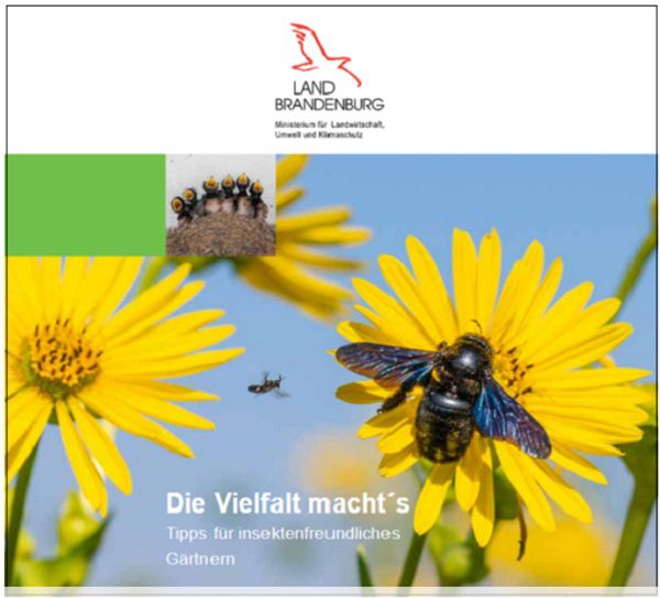 Broschüre Die Vielfalt macht´s für insektenfreundliches Gärtnern gratis