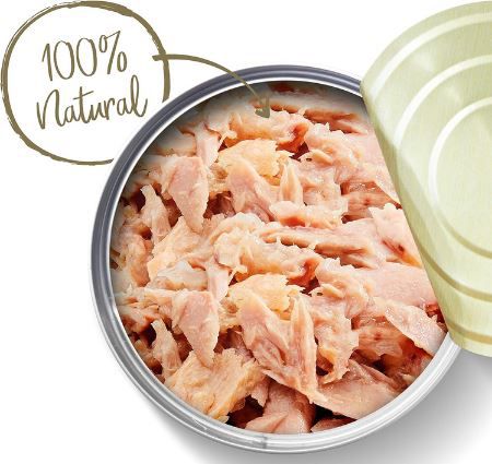 24er Pack Applaws 100% Natural Thunfischfilet Nassfutter ab 23,40€ (statt 31€)