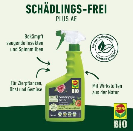 COMPO Schädlings frei plus AF   Insektizid, 500ml für 10,79€ (statt 13€)
