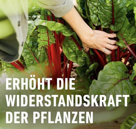 5kg COMPO BIO Horn  & Knochenmehl hochwertiger Naturdünger für 13,98€ (statt 18€)