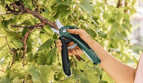 Bosch EasyPrune Akku Gartenschere ab 61,74€ (statt 84€)