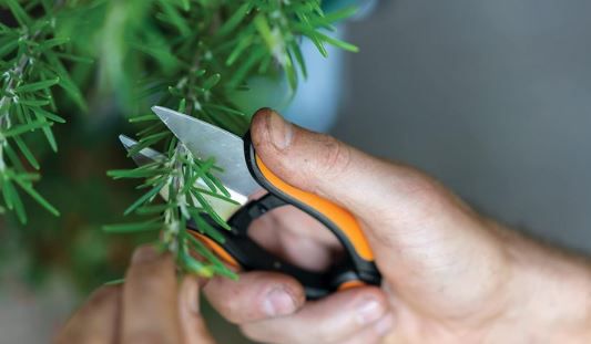 Fiskars SP 220 Kräuterschere, 12,9cm für 10,99€ (statt 14€)