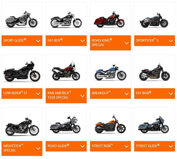Kostenlose Probefahrt auf einer Harley Davidson