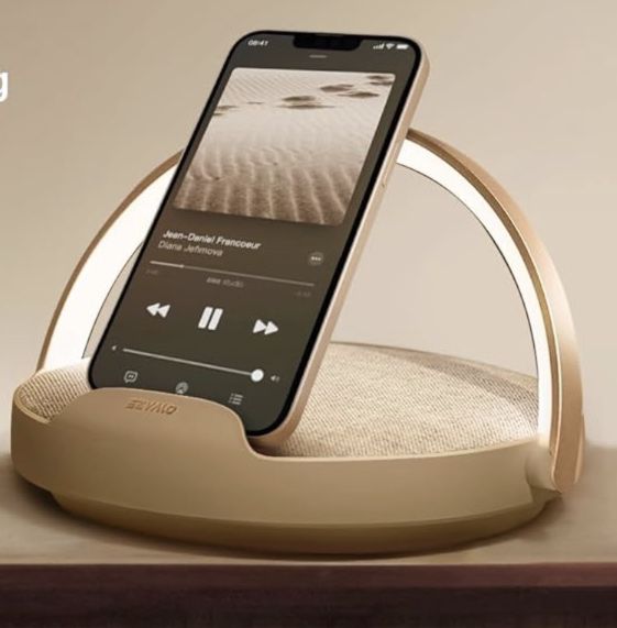 EZVALO Bluetooth 5.3 Lautsprecher mit Licht & Ladestation für 27,49€ (statt 60€)