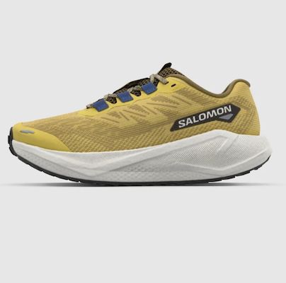 👟 Salomon Sale in der Zalando Lounge – z.B. XT Recon GTX für 80€ (statt 105€)