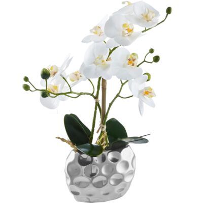 🌼 Kunstpflanze Orchidee Leonique mit 55cm Höhe im Topf ab 19,94€ (statt 36€)