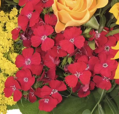 Blumenstrauß Sommergefühl inkl. Vase + 2x Ferrero Rocher für 20,98€ (statt 36€)