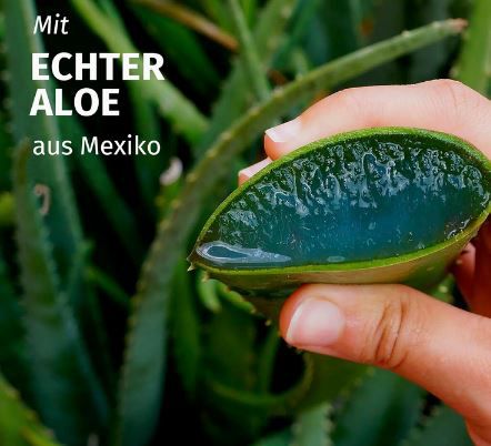 Herbal Essences Shampoo mit Aloe & Jasminduft ab 2,84€ (statt 4€)