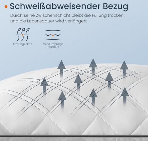 35% Rabatt auf Songmics Kopfkissen   z.B. 80 x 80cm für 18,35€ (statt 27€)