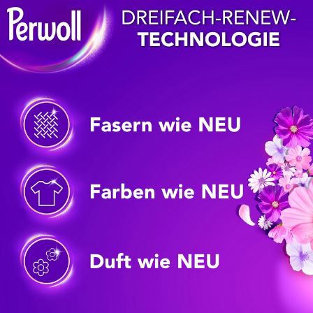 🌸 Perwoll Blütenrausch Waschmittel, 80WL für 10,35€ (statt 19€)