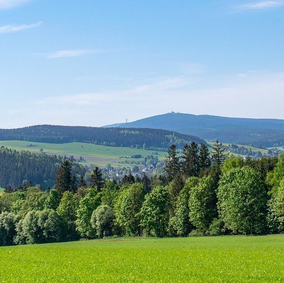 🌳 3 ÜN im Erzgebirgshotel Freiberger Höhe mit All Inclusive für 129,99€ p.P.