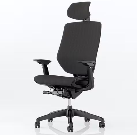 💺 Flexispot BS12 Pro Bürostuhl mit dynamischer Rückenlehne für 299,99€ (statt 400€)