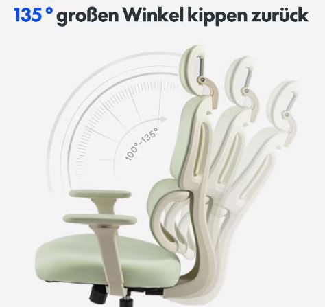 Flexispot BS5 ergonomischer Bürostuhl in 5 Farben für je 179,99€ (statt 260€)