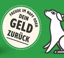 Wieder da! Lily’s Kitchen Hunde- & Katzenfutter gratis ausprobieren