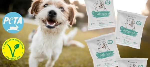 🐕 Geht noch! Veganum: Kostenlose vegane Hundefutterprobe anfordern