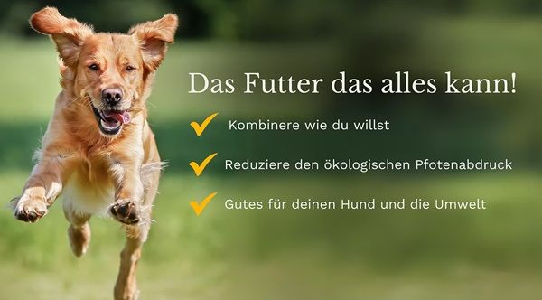 đ Geht noch! Veganum: Kostenlose vegane Hundefutterprobe anfordern đ Geht noch! Veganum: Kostenlose vegane Hundefutterprobe anfordern