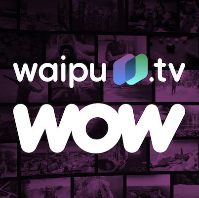 🔥 Nur 5,99€ mtl. 📺 65% Rabatt auf waipu.tv Perfect Plus inkl. WOW Filme & Serien