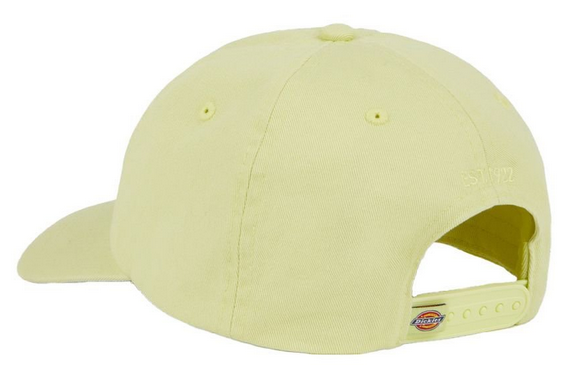 Dickies Hardwick Unisex Cap für 14,98€ (statt 26€)