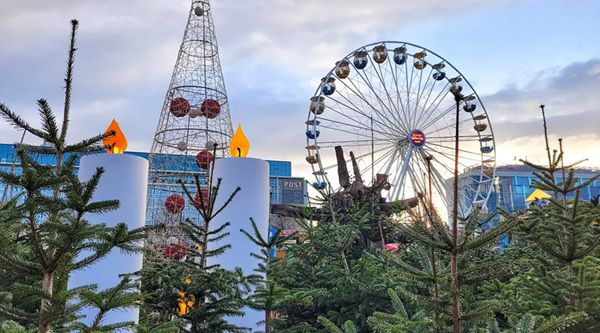 🎄 Es geht los! Leipzig verschenkt wieder seine Weihnachtsbäume