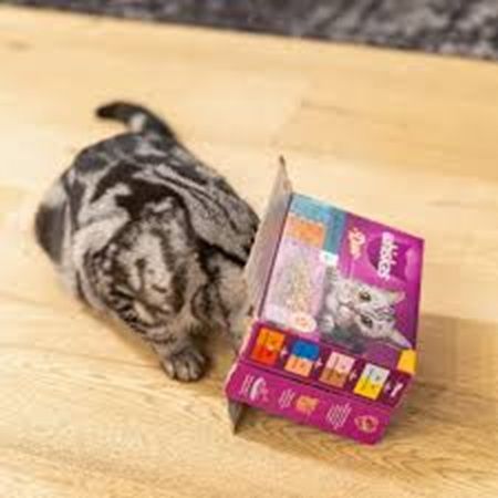 🐱 Whiskas Aktion: Schnurren oder Geld zurück