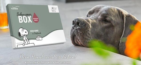 🐕 Wieder da! Platinum Hundefutter-Schnupperbox kostenlos anfordern 🐕 Wieder da! Platinum Hundefutter Schnupperbox kostenlos anfordern