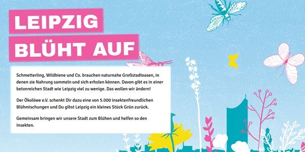 🌸 Leipzig: Kostenlose Blühmischung 🌸 Leipzig: Kostenlose Blühmischung