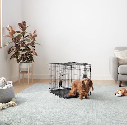 🐶 Amazon Basics Hundekäfig mit 61 x 45,7 x 50,8 cm für 26,99€ (statt 34€)