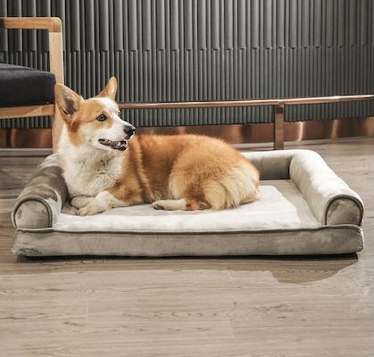 🐶🛏️💤 Amazon Basics großes Hundebett mit 91 x 69 x 17 cm für 19,96€ (statt 36€)