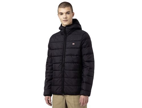 🔥 Dickies Waldenburg Herren Jacke für 19,99€ (statt 87€)