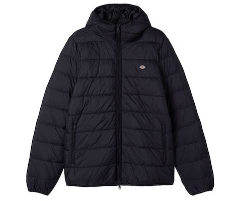 🔥 Dickies Waldenburg Herren Jacke für 19,99€ (statt 87€)