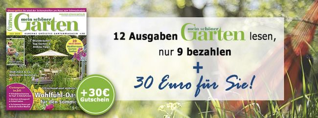 🏡 12 Ausgaben Mein schöner Garten für 44,10€ + Prämie: 30€ Amazon Gutschein