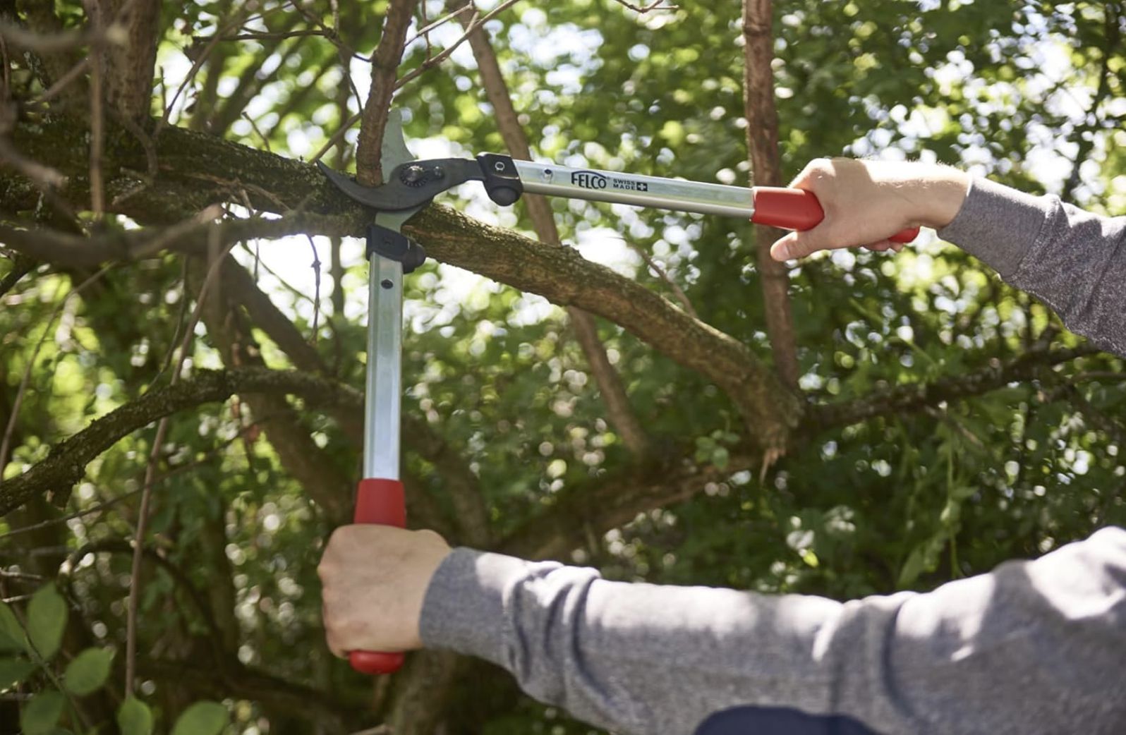 🇨🇭🌳 Felco 211 60 Astschere mit 60 cm für 60,99€ (statt 80€)